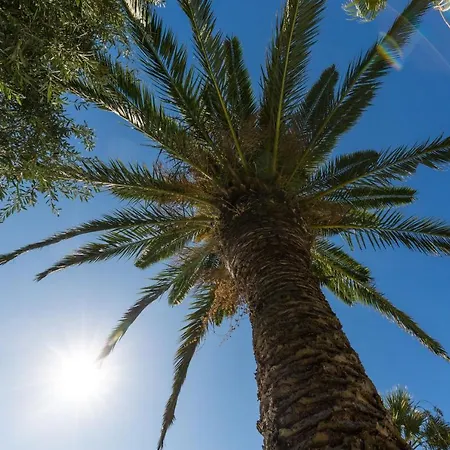 Angelos Casa de Férias Acharavi (Corfu)